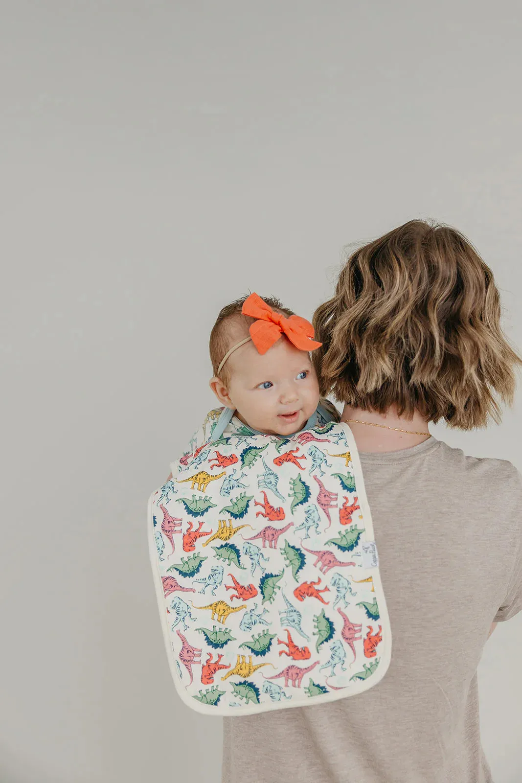 Burp Cloth Set - Jurassic Park