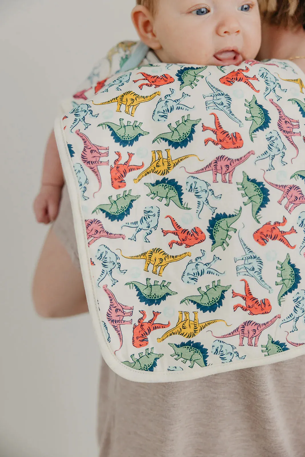 Burp Cloth Set - Jurassic Park